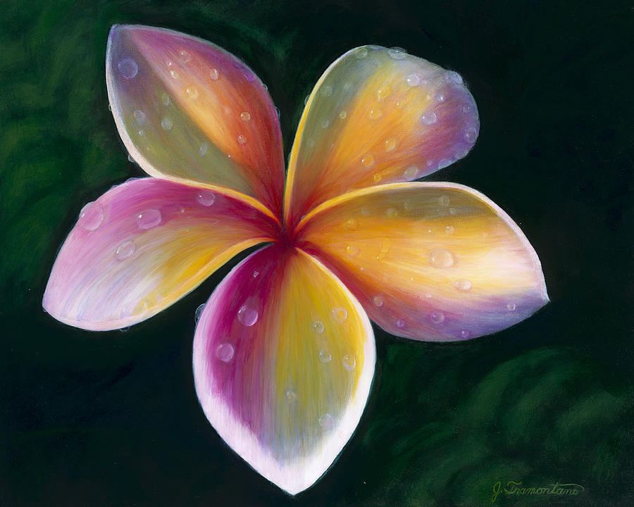Plumeria Painting by Jeannette Tramontano