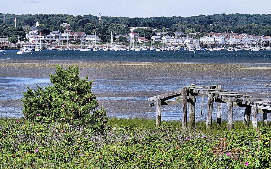 Plymouth Harbor Low Tide Photograph by Janice Drew