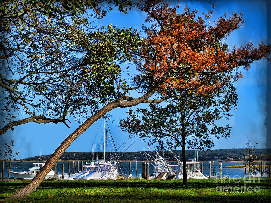 Boat Photograph - Plymouth Harbor in Autumn by Joan  Minchak