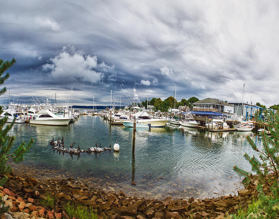 Plymouth Harbor Marina Photograph by Constantine Gregory