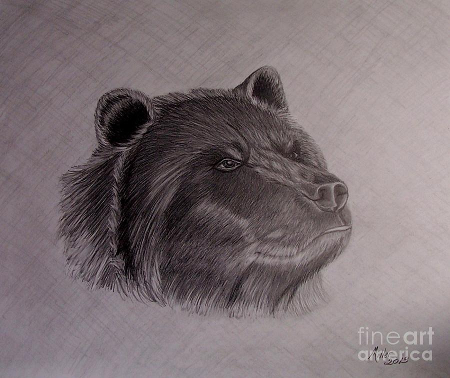 PM 330-61 Peggy Miller Grizzle 14x17 Graphite Drawing by Peggy Miller