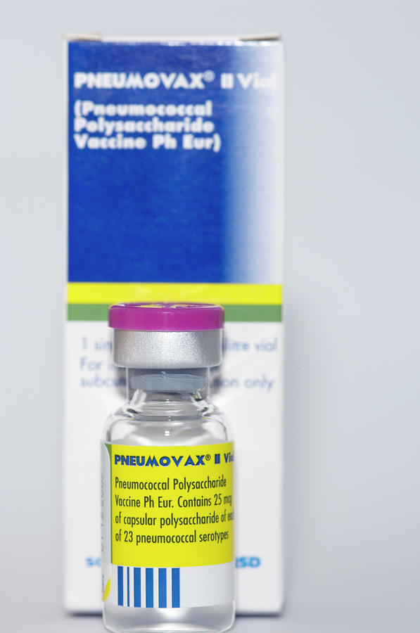 Pneumovax Streptococcus Vaccine Photograph by Dr P. Marazzi/science ...