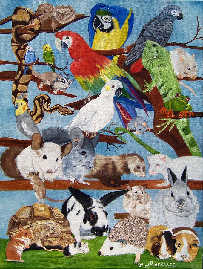 Macaw Painting - Pocket Pets by Debbie LaFrance