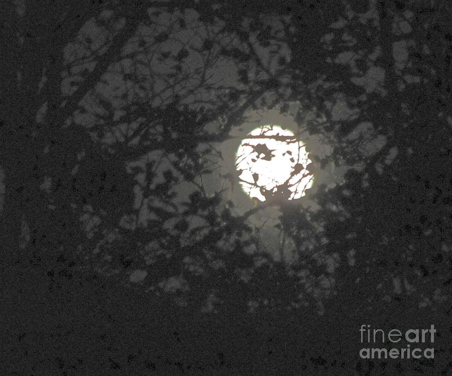 Poe Moon Photograph by Barry Bohn