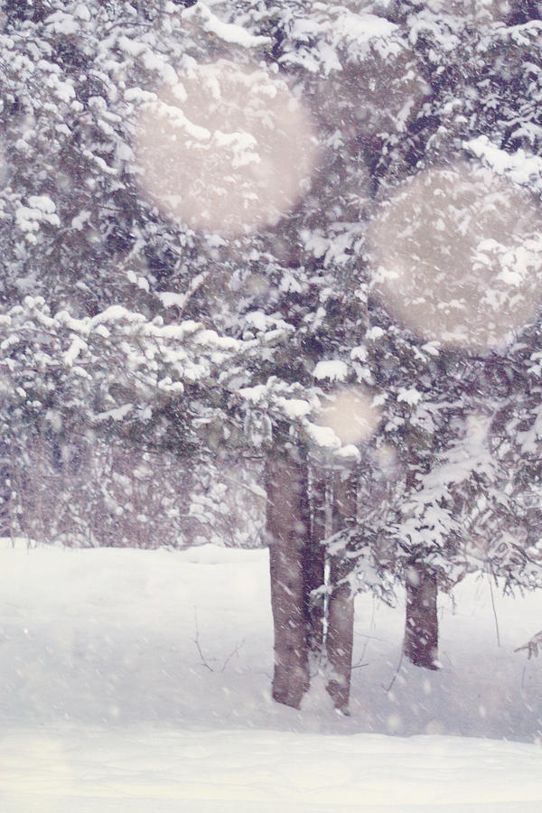 Poetry of a Snowfall #2 Photograph by Katja Maki - Fine Art America