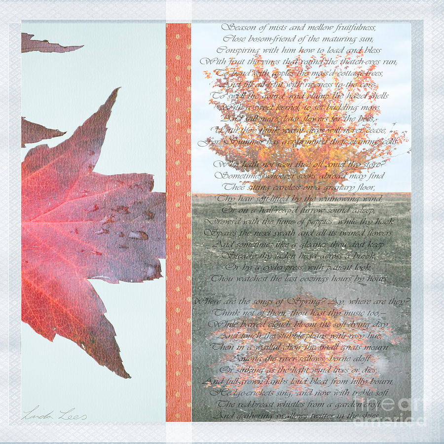 Poetry of Autumn Photograph by Linda Lees
