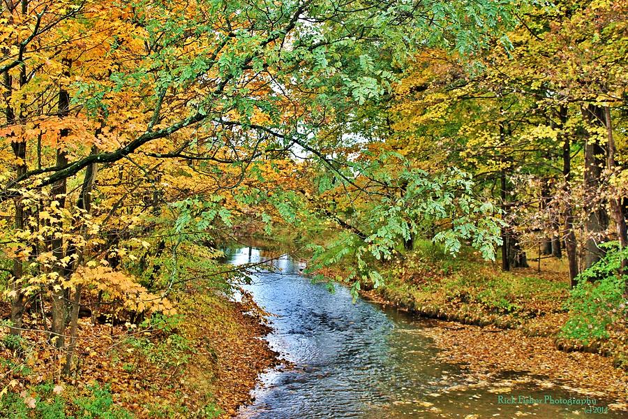 Pohopoco Creek Photograph by Richard D Fisher | Pixels