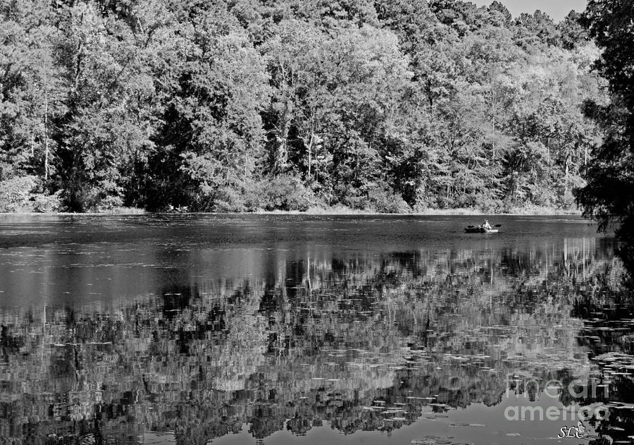 Poinsett State Park in Black and White Photograph by Sandra Clark