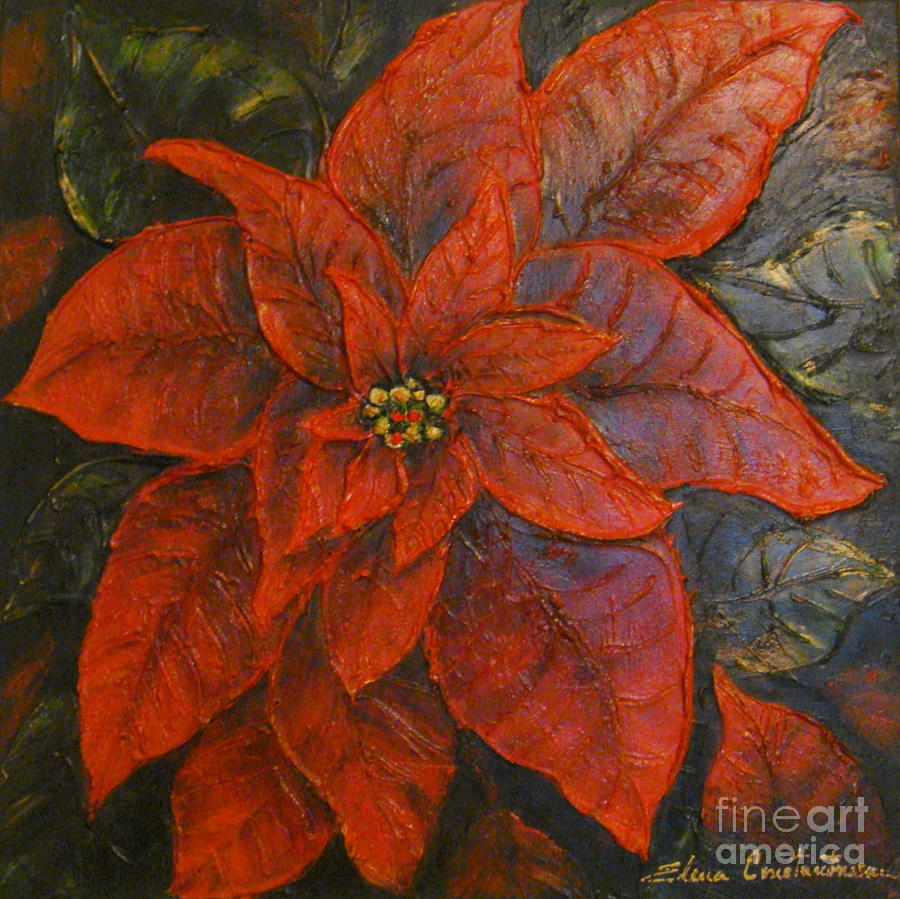 Poinsettia/ Christmass Flower Painting by Elena Constantinescu