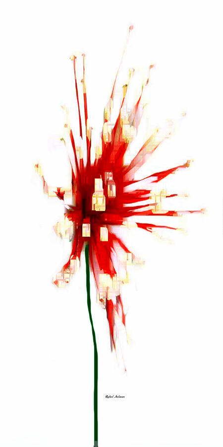Poinsettia Digital Art by Rafael Salazar