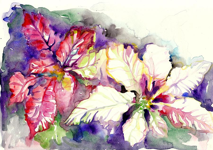 Poinsettias House and Garden Plants - Watercolors on Heavy Paper Painting by Tiberiu Soos