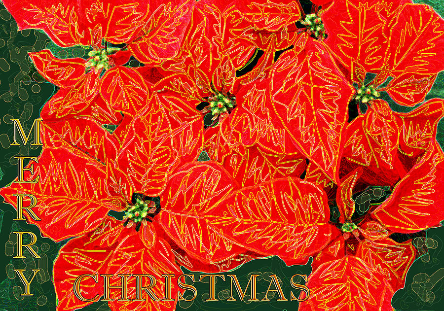Poinsettias Merry Christmas Digital Art by Stephanie Grant