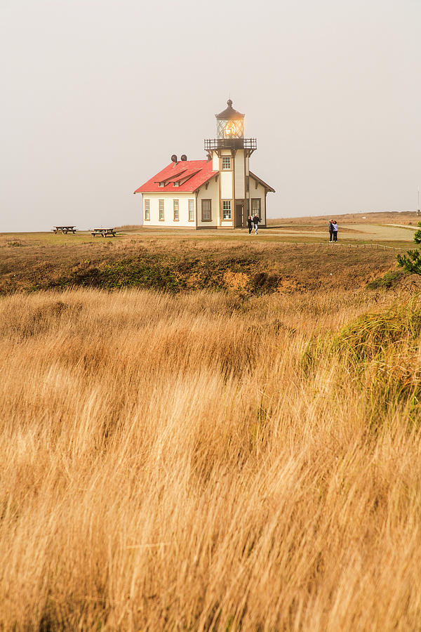 Lighthouse Photograph - Point Cabrillo Lighthouse And Marine by Stuart Westmorland
