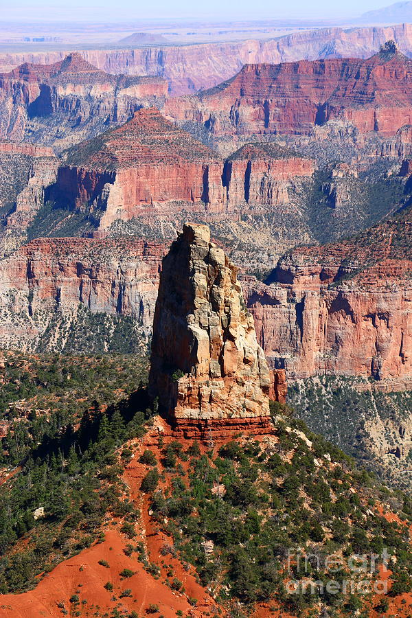 Point Imperial - North Rim Grand Canyon Photograph by Christiane Schulze Art And Photography