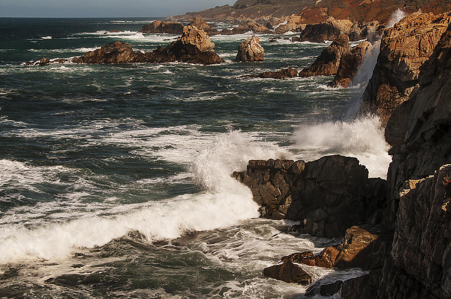 Point Lobos 2 Photograph by Lee Kirchhevel