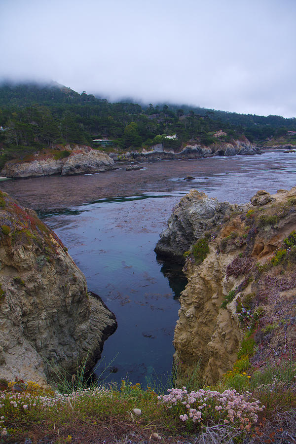 Point Lobos 5096 Photograph by Tom Kelly