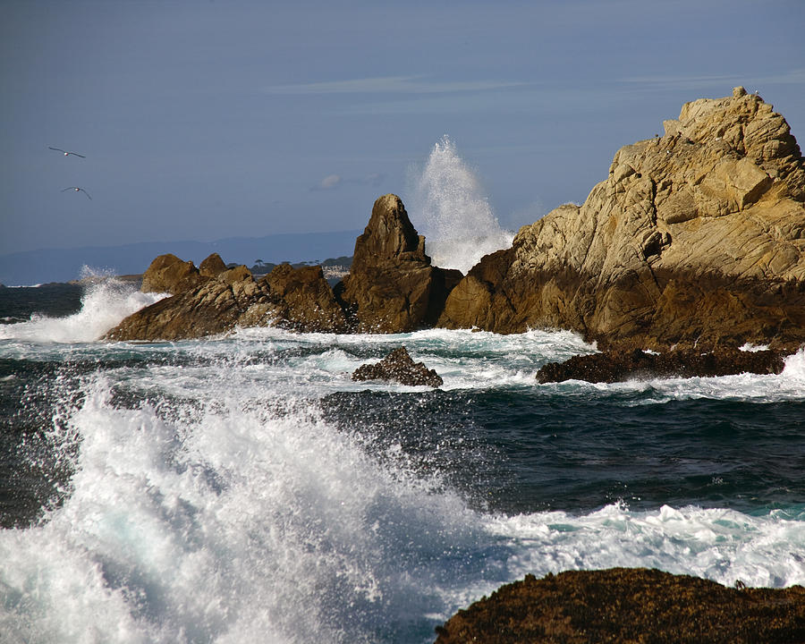 Shore Photograph - Point Lobos at High Tide by Neal Martin