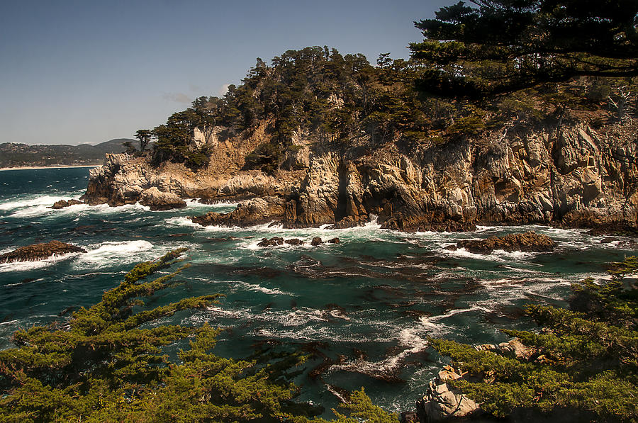 Point Lobos Photograph by Lee Kirchhevel