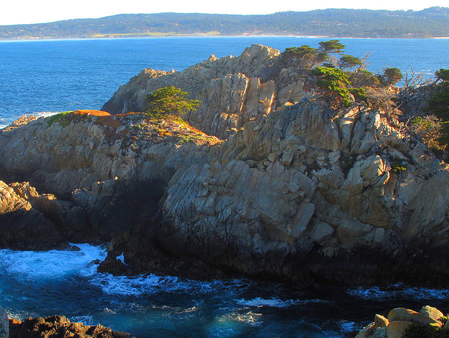 Point Lobos Number 9 Photograph by Derek Dean