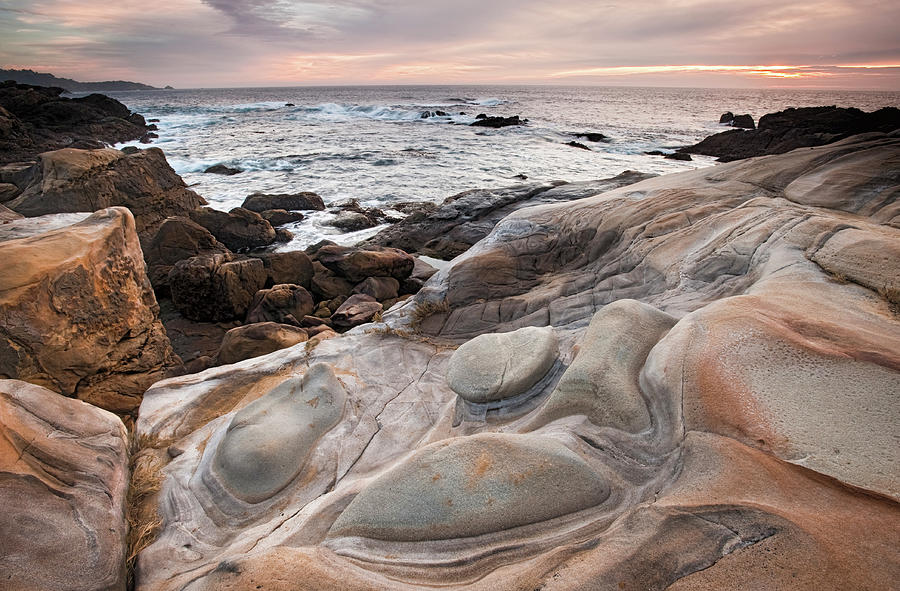 Point Lobos State Park Photograph by Doug Steakley Point Lobos State Park Photograph by Doug Steakley