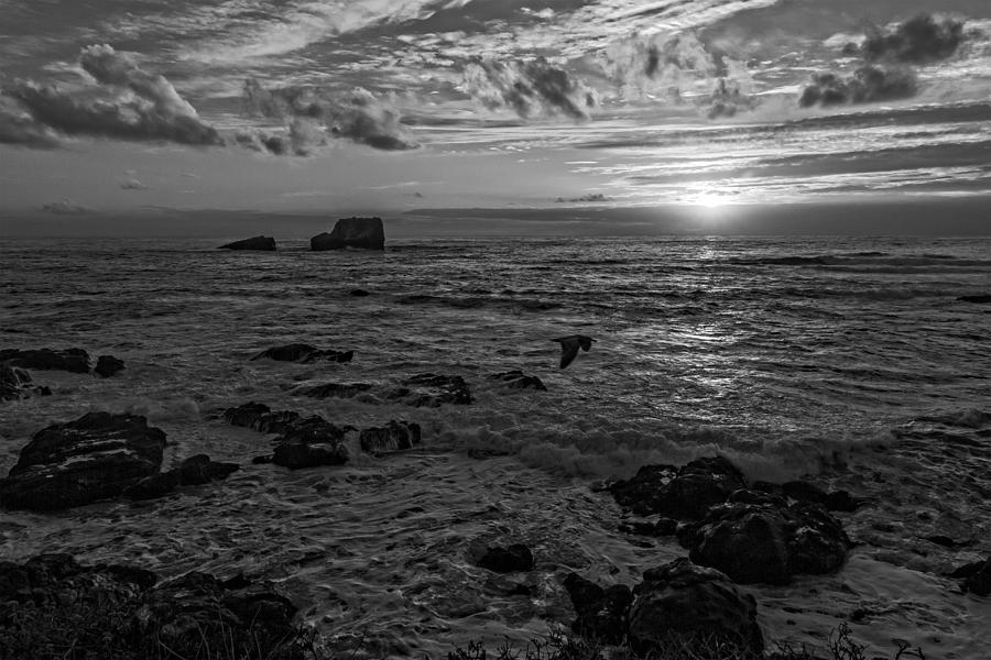 Point Piedras Blancas Sunset Variation Black and White Photograph by Jim Moss