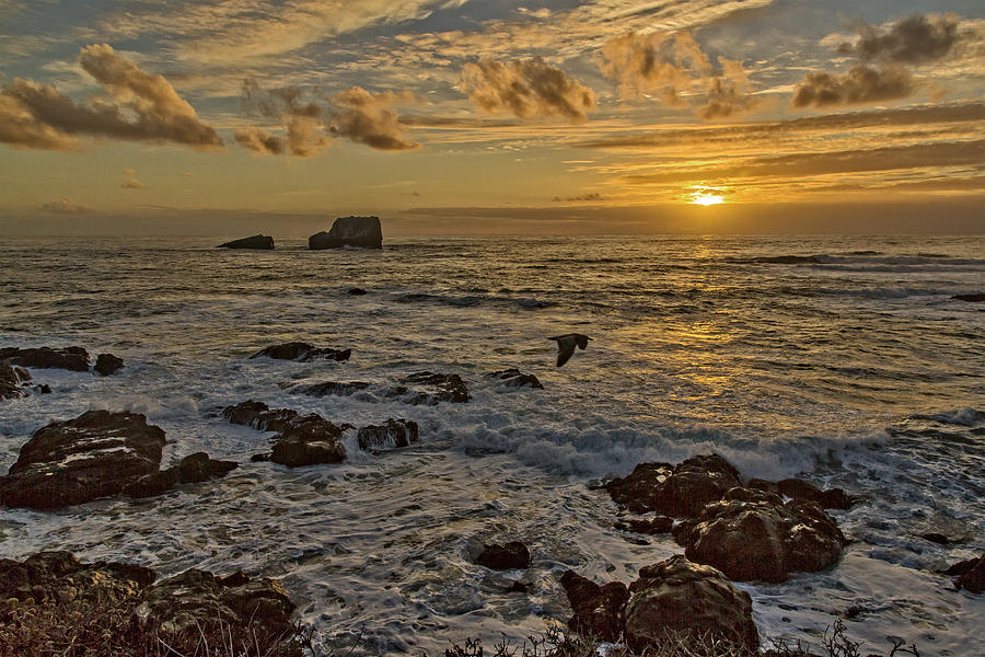 Point Piedras Blancas Sunset Variation Photograph by Jim Moss
