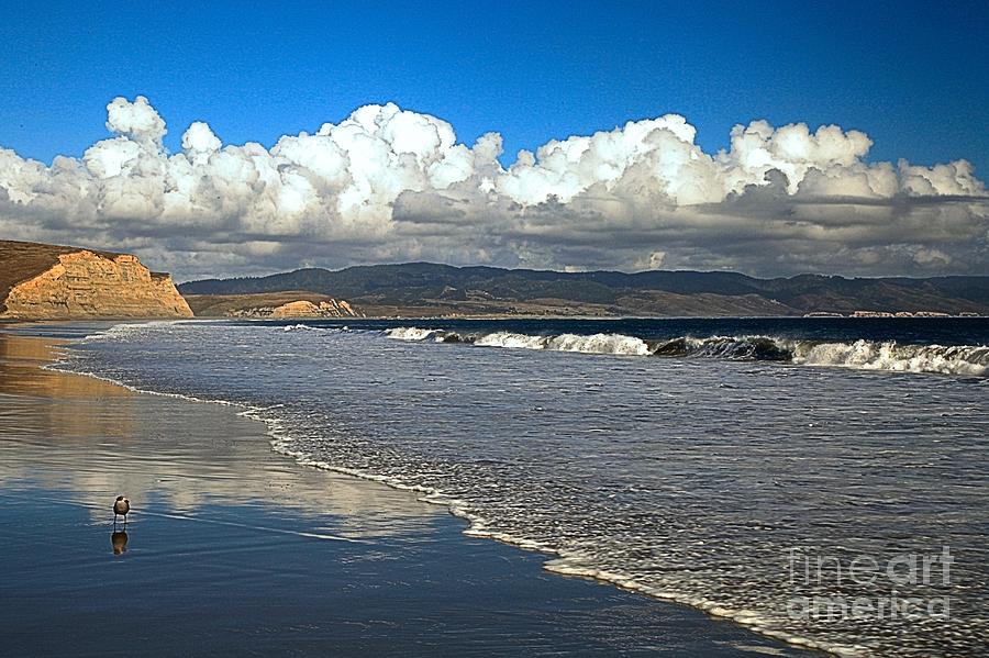 Drakes Beach Photograph - Point Reyes Drakes Beach by Adam Jewell