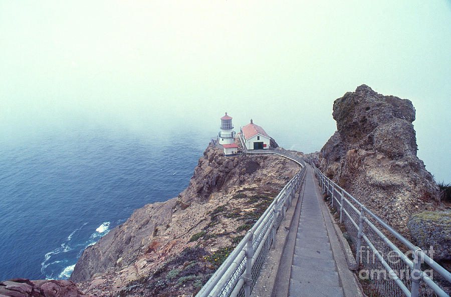 Point Reyes Lighthouse Photograph by Bruce Roberts