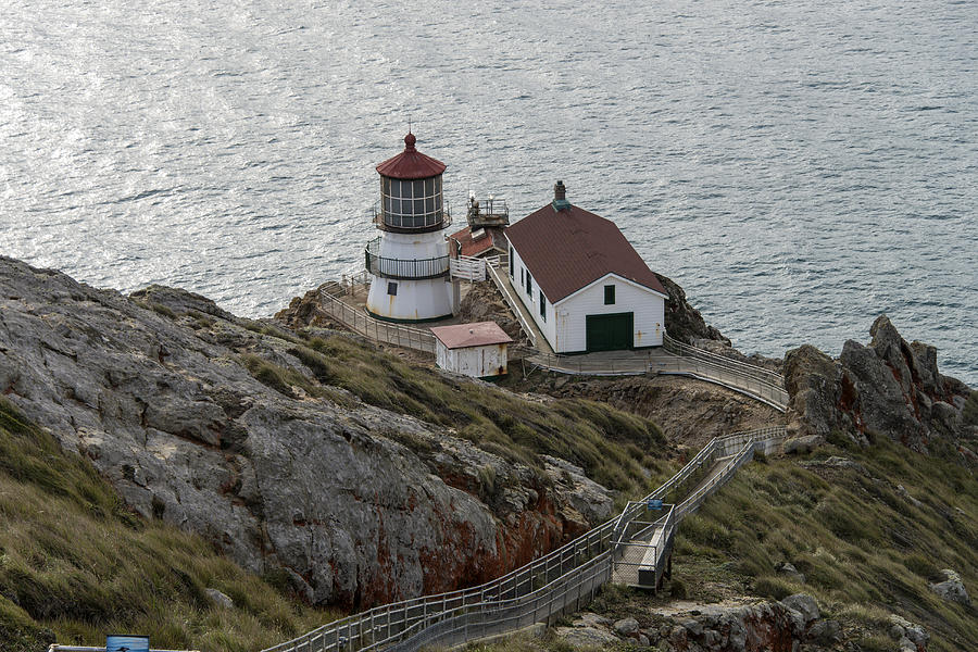Point Reyes Lighthouse Photograph by Mark Newman