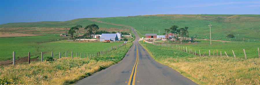 Point Reyes National Seashore Photograph - Point Reyes National Seashore by Panoramic Images