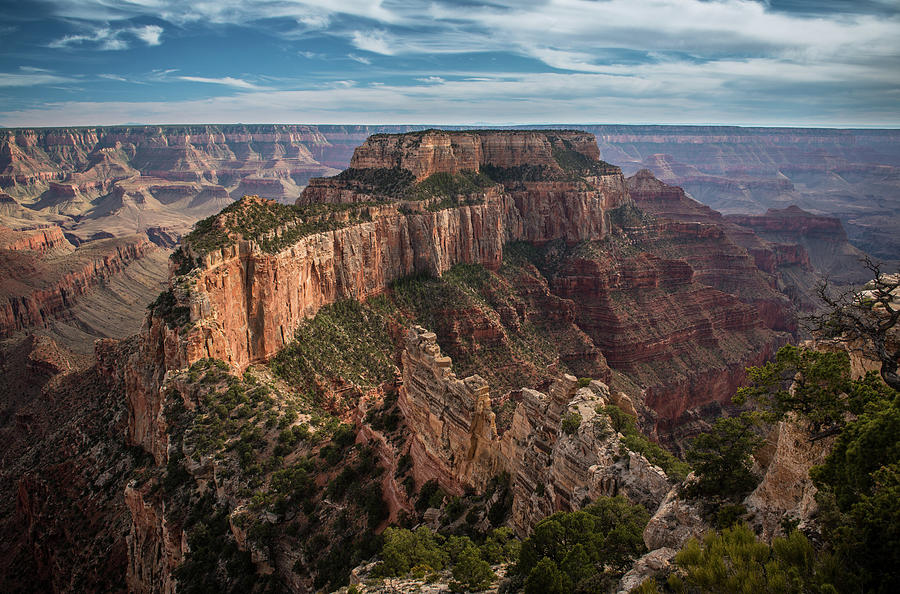 Point Royal, Grand Canyon Photograph by William D. Bowman
