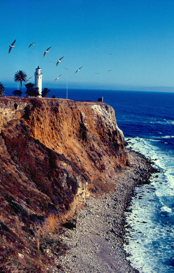 Pelican Photograph - Point Vicente Lighthouse and Pelicans by Bruce Roberts
