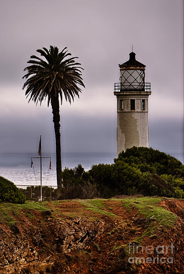 Point Vincente Lighthouse Photograph by Donna Greene
