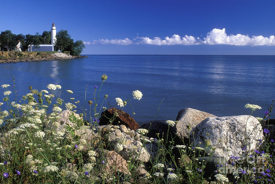 Pointe aux Barques and Summer Wildflowers - FS000823 Photograph by Daniel Dempster