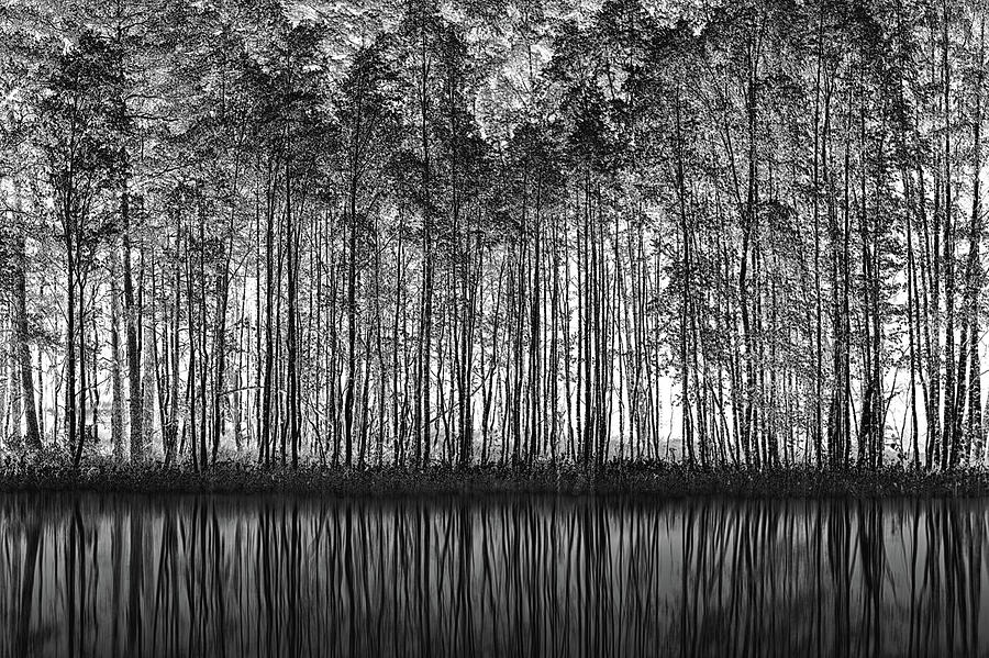 Black And White Photograph - Pointillism Nature by Roswitha Schleicher-schwarz