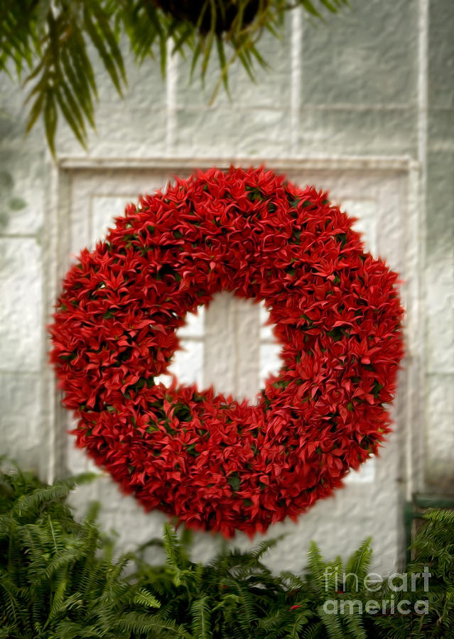 Pointsetter Christmas Wreath  Photograph by Iris Richardson