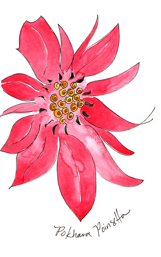 Pokhara Poinsettia Painting by Anna Elkins
