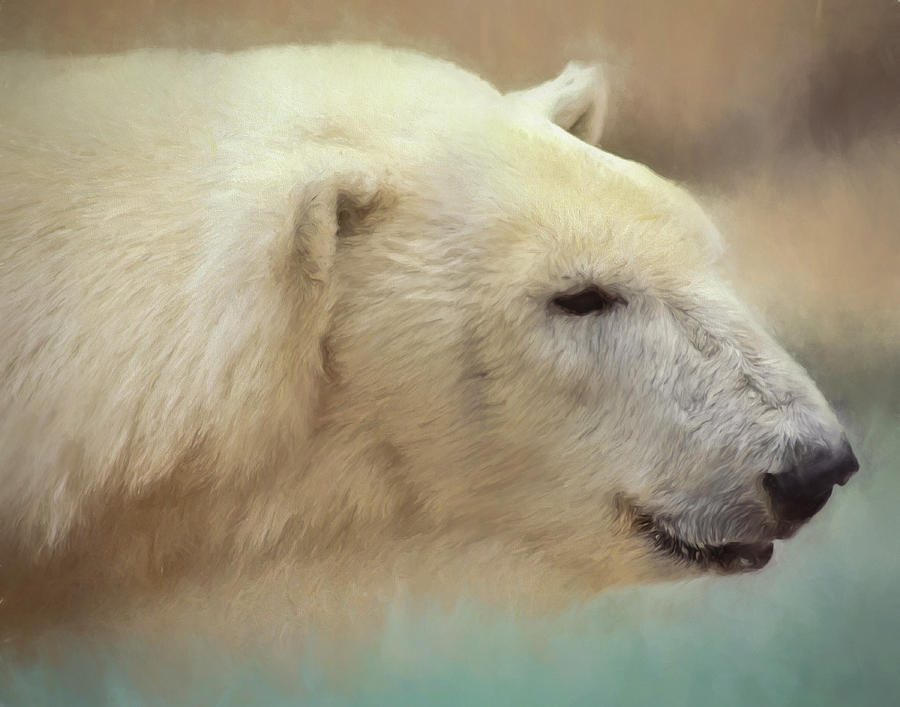 Polar Bear Photograph by David and Carol Kelly