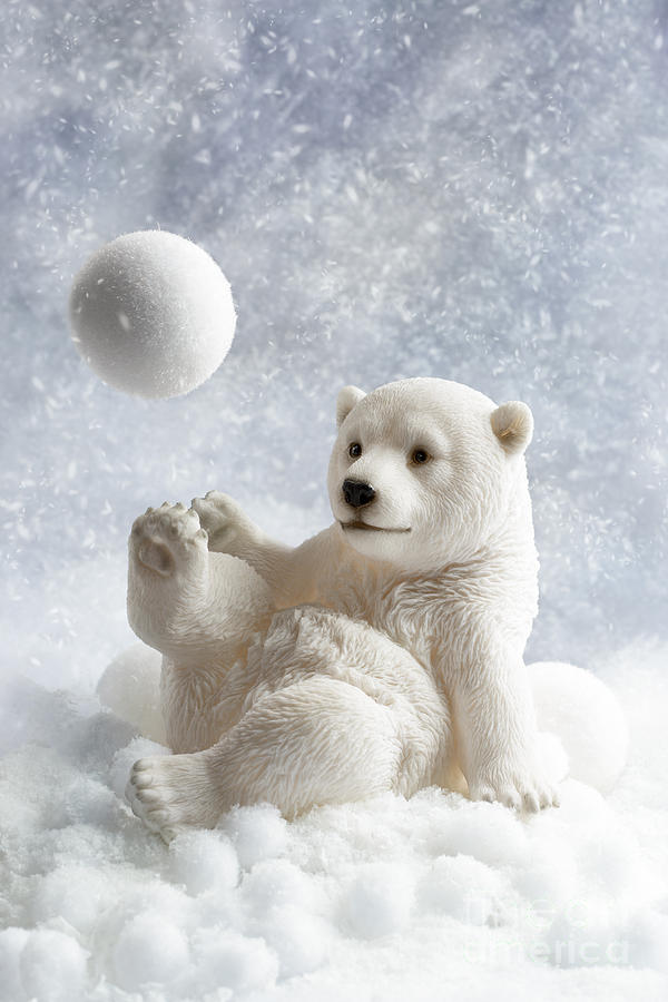Ball Photograph - Polar Bear Decoration by Amanda Elwell