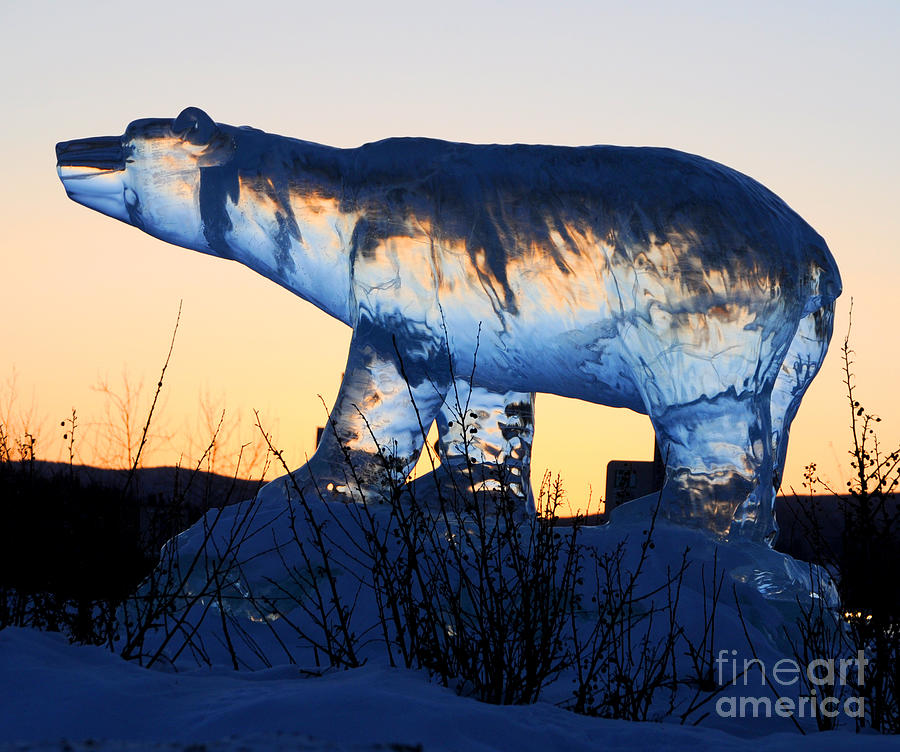 Polar Bear Ice Sculpture at Sunset Photograph by Gary Whitton