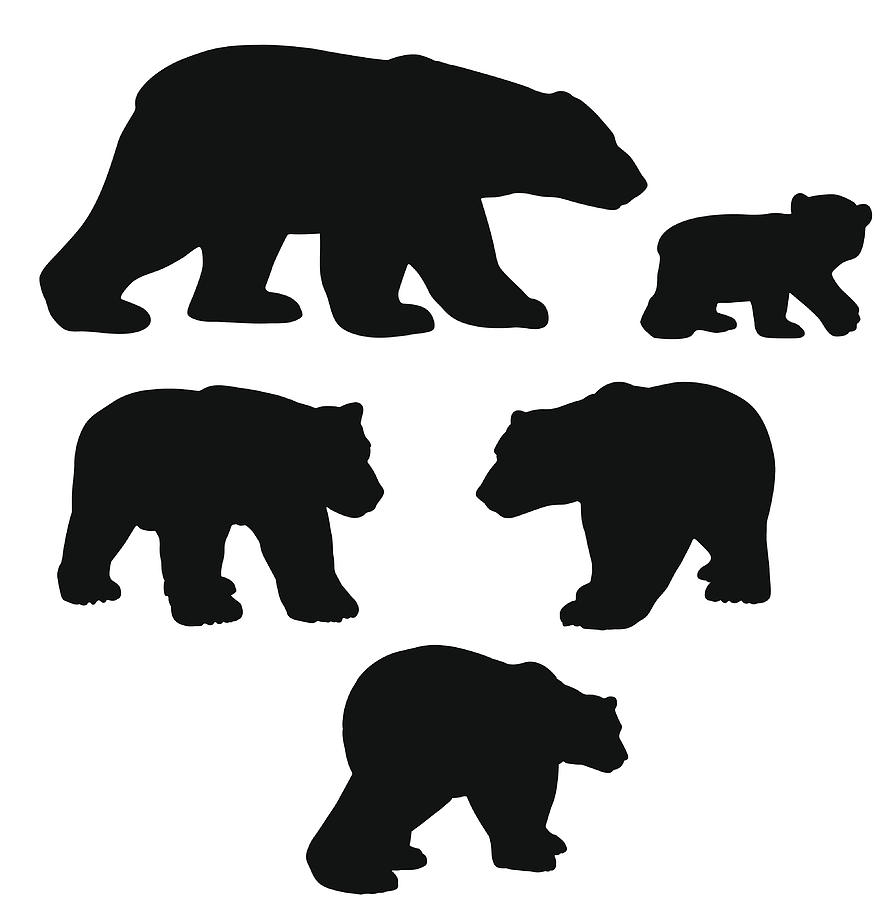 Polar bear silhouette collection with cub Drawing by Ace_Create