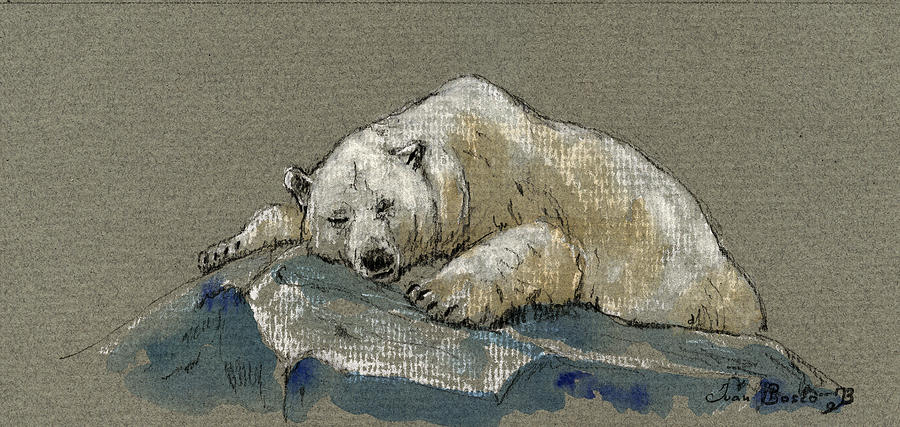 Sleeping Bear by bookstoresue on DeviantArt