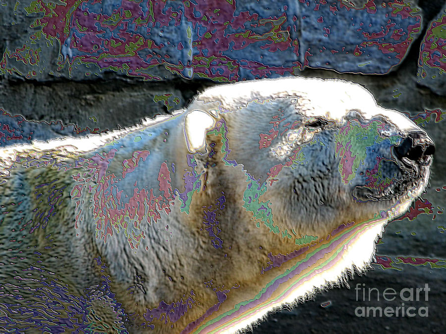 Polar Bear with Enameled Effect Photograph by Rose Santuci-Sofranko
