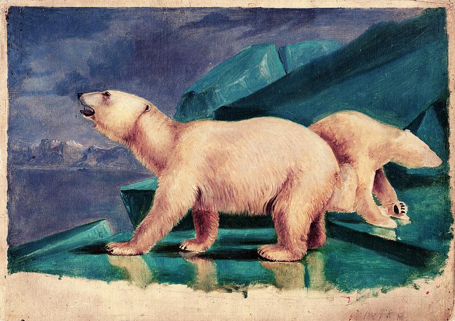 Wildlife Photograph - Polar Bears by American Philosophical Society