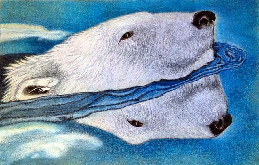 Polar Dip Drawing by Jo Prevost