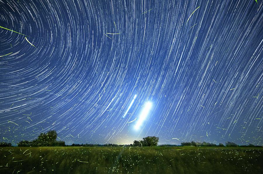 Polar Star Trails And Fireflies Photograph by Luis Argerich