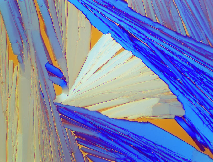 Polarised Lm Of Acenaphthene Crystals Photograph by Sinclair Stammers