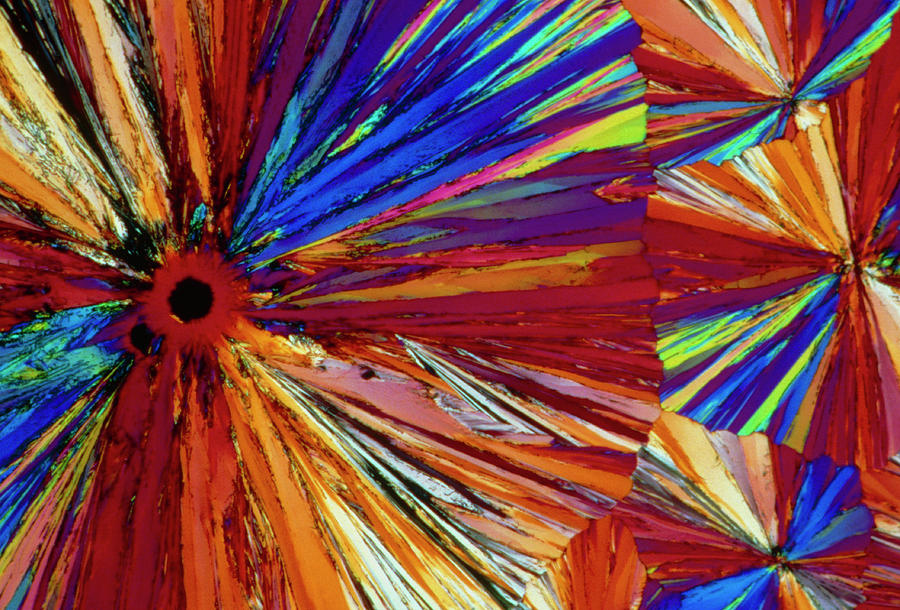 Aspirin Photograph - Polarised Lm Of Crystals Of Asprin by Sinclair Stammers.