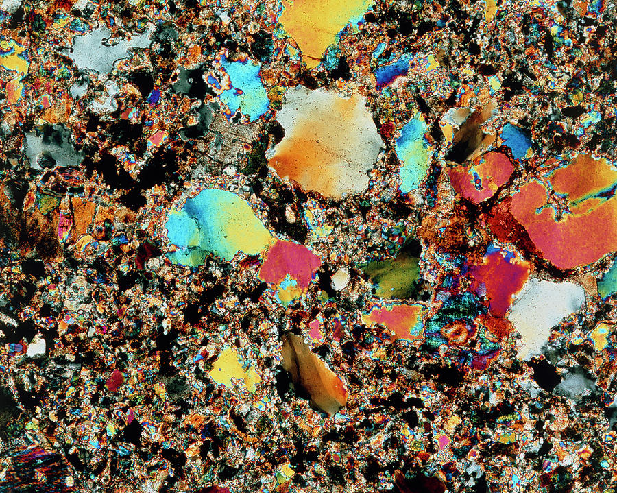 Polarised Lm Of Granite In Thin Section Photograph by Alfred Pasieka ...