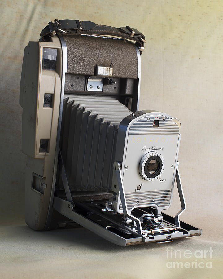 Polaroid Land Camera The 800 Photograph by Art Whitton